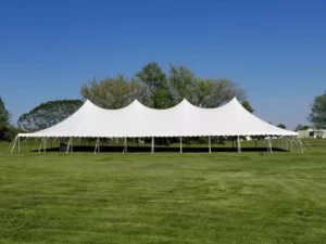 40x100 Pole